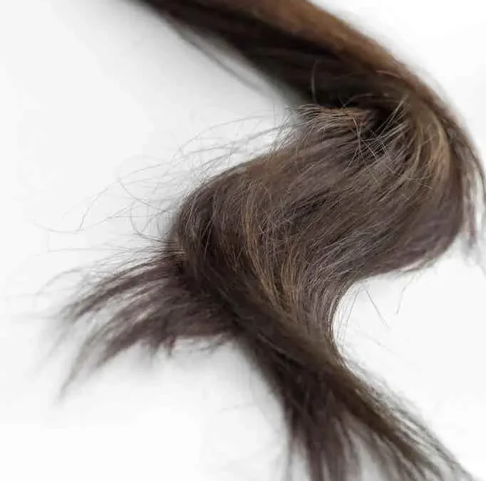 Biotine ou Niacinamide pour les Cheveux