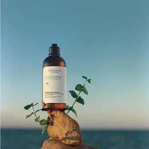 L'OCCITANE – Shampoing Fraîcheur Purifiante-cheveux gras
