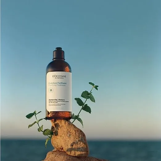L'OCCITANE – Shampoing Fraîcheur Purifiante-cheveux gras