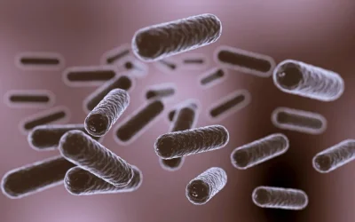 Le Microbiote Intestinal et la Peau